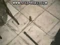 Quem esta mais assustado???
