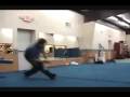 kyle marcum slo mo sampler -- i am going to get another sampler soon bc i need to put in alot more tricks