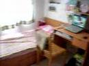 rumah kami