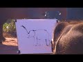 Painting elephant 2 Painting elephant 2