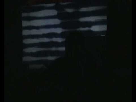 Video Postavil jsi stromy a šel jsi pryč