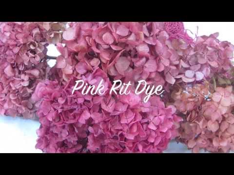 how to dye pressed flowers