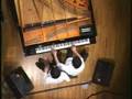 Les Freres レ・フレール BoogieWoogie Depot