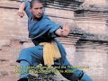 Shaolin Temple Overseas Headquarters, NYC