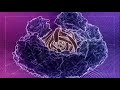 sts-06: synesthetics - microdots