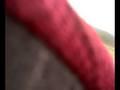 videos de The first of many.mp4