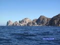My cRuIsE !