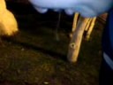 Top 10 Vomitadas - by Francho