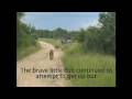 videos de Battle at Sabi Sands Game Reserve