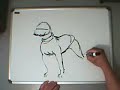 freestyle: american pit bull terrier