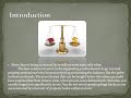 Safe practices Guidelines in Getting Property by Jeff Adams.wmv