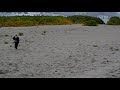 Megaraid Trailer test footage fail - REMIX