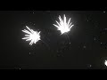 Himley Fireworks 2009 PT1