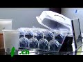 A bon entendeur - Recyclage des différents plastiques A bon entendeur - Recyclage des différents plastiques