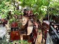 Asia travel tips, Best Coffee Shop in Asia ?
