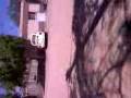 videos de betsy y yo en navojoa
