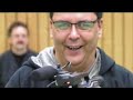 Trailer Beginner Seminare Gesamt