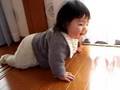 ゆうま　はじめてのはいはい？　モスラの行進？