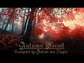 Relaxing Celtic Music - Autumn Forest (podzimní les) - Relaxační hudba (Relaxing Music)