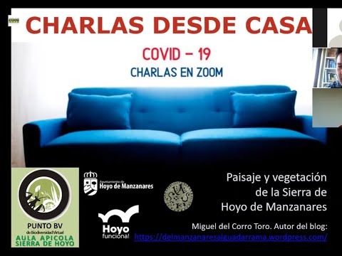 Ver video