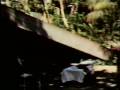 videos de STS9 video