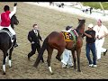 Amazing Horses-Tribute to: Ruffian, Barbaro and Eight Belles Amazing Horses-Tribute to: Ruffian, Barbaro and Eight Belles