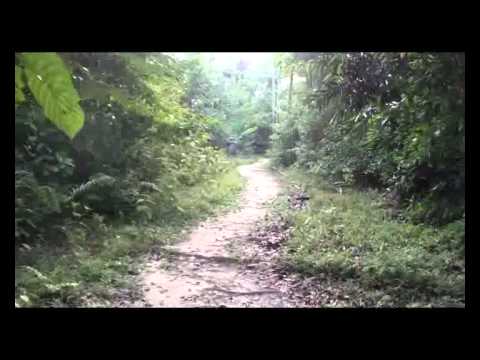 Video av Omshanty