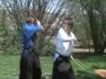 Fight Scene from 