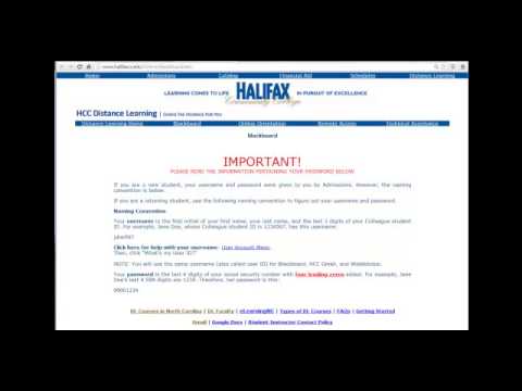 how to know gmail username