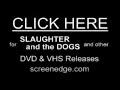 Where have all the bootboys gone? - Slaughter and the dogs
