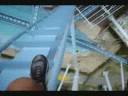 BUSH GARDENS BRASILEIROS NA GRIFFON