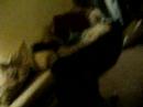 me actin retarded