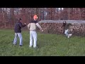 De Kasperli und s´goldige Nüüteli - Teil 2