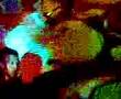 videos de NERTO.it | Barxino @ Gratis 2