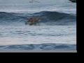 Brookey surfing Lahaina Breakwall Mele Kai Productions