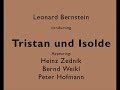 Zednik, Weikl and Hofmann in Tristan