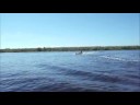 Drag boat racing on the Caloosahatchee River
