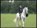 British Day 2007 - Hamburg, Germany. Side Saddle Display. British Day 2007 - Hamburg, Germany. Side Saddle Display.
