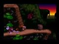 Bonuses in Orangatang Gang, the level out of all the Donkey Kong Country games with the most bonuses, a whopping five!