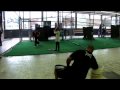 C & D Softball 2010 Part 1