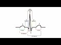 Anatomy & Physiology Online - Cardiac conduction system and its relationship with ECG