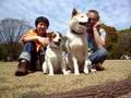 Shiba & JRT v110 けんたとあとむの技その1 北の丸公園:YouTube閲覧数=634回
