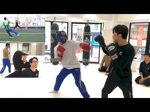 動画