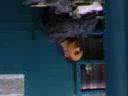 ALFREDO ARANDA DURMIENDO EN MATRICERIA