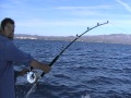 GRAN picada de un ATUN en la mano! (Giant Bluefin Tuna)