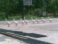 Left Right Left