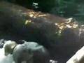 Gorge video