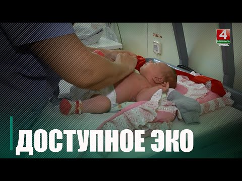 Более 1500 женщин в Беларуси прошли ЭКО бесплатно видео