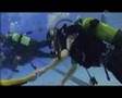 Cowa Diving