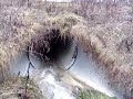 Water travels from Casella owned dump through Angelica to what is known as Mill Pond a favorite swimming hole. Casella segments were taken Jan 2007, Mill Pond video segments were taken May 2005.Herman D. Farrell, Jr. Ginny Fields Gary D. Finch Michael J. Fitzpatrick Dennis H. Gabryszak Sandy Galef David F. Gantt Michael N. Gianaris Joe Giglio Deborah J. Glick Diane Gordon Tim Gordon Richard N. Gottfried Aurelia Greene Aileen M. Gunther Stephen Hawley Jim Hayes Carl E. Heastie Andrew Hevesi Dov Hikind Earlene Hooper Sam Hoyt Janele Hyer-Spencer Rhoda Jacobs Ellen Jaffee Hakeem Jeffries Susan V. John Brian P. Kavanagh Micah Z. Kellner Tom Kirwan Brian M. Kolb David Koon Ivan C. Lafayette Rory I. Lancman